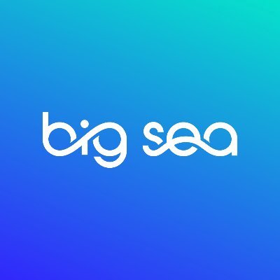 bigsea Profile Picture