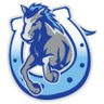 USEStallions's profile picture. Stephens Elementary in Katy ISD - #USEstallions