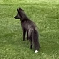 Terry Pettit (@terrypettit1) 's Twitter Profile