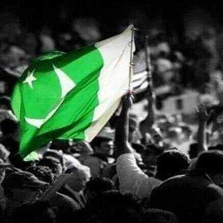 fiction302's profile picture. 