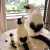 ABIES JESSICA AIMIENOHO (@abiesjessica) Twitter profile photo ABIES JESSICA AIMIENOHO (@abiesjessica) Twitter profile photo