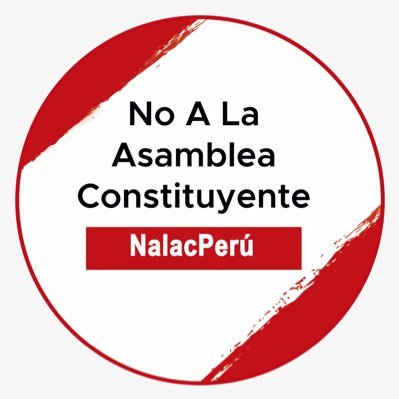 Somos un movimiento que respalda la propuesta para reforzar el art. 206 de la Constitución que prohíbe realizar una Asamblea Constituyente.