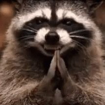 matthewtckr's profile picture. 