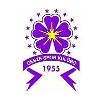 Ultras Gebzespor (@ultrasgebzespor) 's Twitter Profile Photo