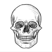 JasonsALTaccount (@jasonsaltacct) Twitter profile photo