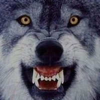 Dispo TT (@f_o_my_tt) 's Twitter Profile Photo Dispo TT (@f_o_my_tt) 's Twitter Profile Photo
