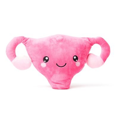 Just a uterus. Currently outfitted with Liletta, which helps me no longer put my host through excruciating pain every month. Not open for fetus growing.