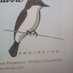 LECTURAS DERECHAS. (@pio65pio) Twitter profile photo LECTURAS DERECHAS. (@pio65pio) Twitter profile photo