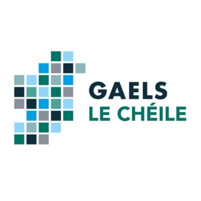 Gaels Le Chéile Profile