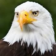 NationToward's profile picture. I believe in truth , I don't call black white.