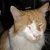 One eyed Sidney💙🐱🎶🐈🐕🐝🌳🍷 (@linstro537) Twitter profile photo One eyed Sidney💙🐱🎶🐈🐕🐝🌳🍷 (@linstro537) Twitter profile photo