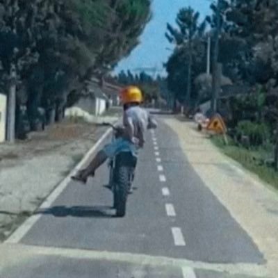 tiago__costta's profile picture. 1904🔴⚪