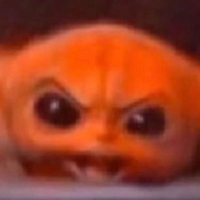 DefonotOkay's profile picture. 