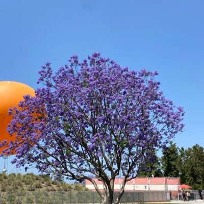 dongxj5's profile picture. 