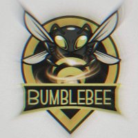 bumblebee123168(@liammchugh3) 's Twitter Profile Photo