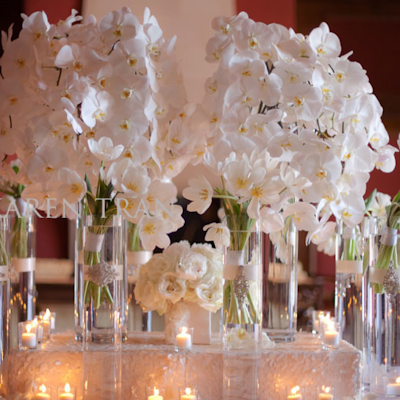 NicoleWDav's profile picture. 