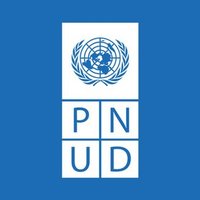 PNUD Venezuela(@PNUDVenezuela) 's Twitter Profile Photo