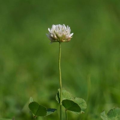 4月から児童養護施設で働き始めました🍀