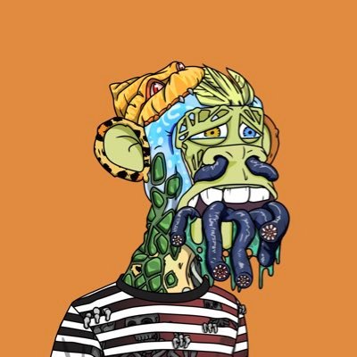 nftjimmyjim's profile picture. The mutant next door. #MAYC 6312