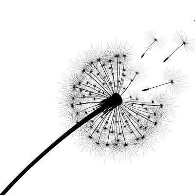 Dandelions — unwanted by most — hold great power for those who know how to use them. #novel #books A Novel by @rangerchaz