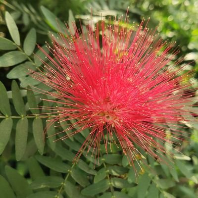 imitalithakur's profile picture. Freelancer | Web Designer | Contact:- mitalithakurmt@gmail.com