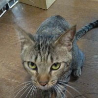 断酒中 (@bzjqhrx5ca32fgn) 's Twitter Profile Photo 断酒中 (@bzjqhrx5ca32fgn) 's Twitter Profile Photo