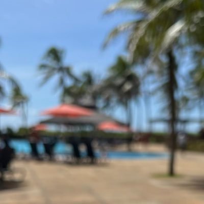 Viva a vida, ignore a negatividade e não deixe ninguém roubar a sua felicidade.❤️