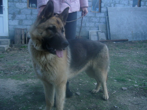 Samarina1998's profile picture. 