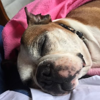 Maluveva6410's profile picture. amo a Dios, mi país, mi familia y trabajar