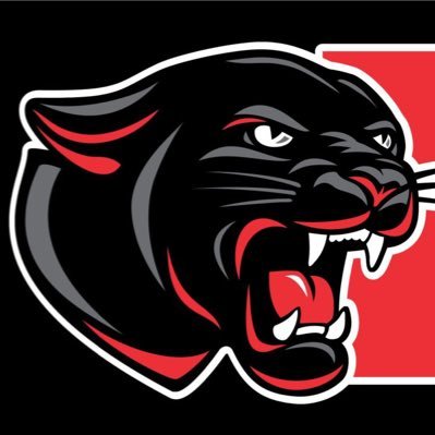 Panthers Football Profile