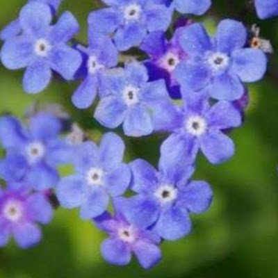 try2makebetter's profile picture. 六扇门槛