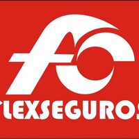 FLEX SEGUROS (@flexseguros) 's Twitter Profile