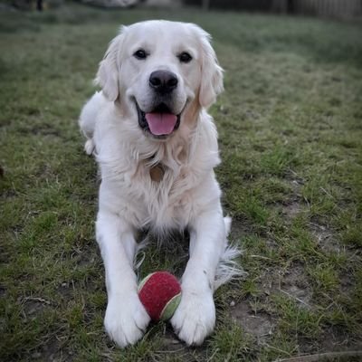 RoDunne81's profile picture. Born 1981, Liverpool fc, Celtic fc🍀 From Dublin/living in Cork.