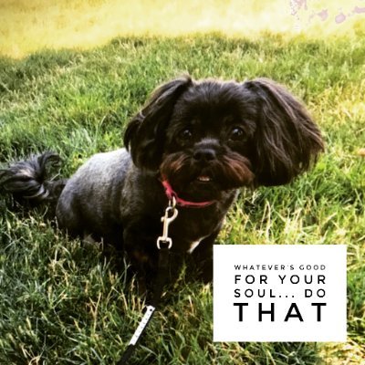 theambitiouswmn's profile picture. Dog waiter, art/biz nerd, liberal, source
