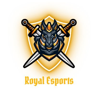 Welcome to Royal Esports 
Est.2022 
Professional Esports Organization
VCT Bound 
#StayRoyal