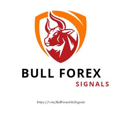 Free Signals | Weekly +600 PIPS | Gold Specialist | Forex Signals Daily ⅓ Free Signals | Risk Ratio 05% | TP & SL | Accuracy Rate Up To 90% | Equity $1K