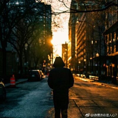 michengmaoxian1's profile picture. 