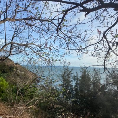 Tuanti12's profile picture. 