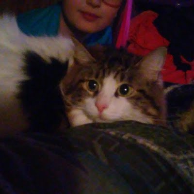 LaurieMessenge4's profile picture. 