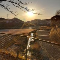 野草クエスト (@yasoupuest) 's Twitter Profile