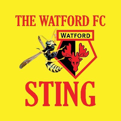 Discussing Watford FC - A lifelong hornet 🐝