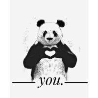 m shahid mughal 🇵🇰 (@mshahid81291632) 's Twitter Profile