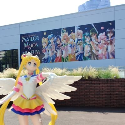 ⭐️里親募集中⭐️ 美しいブルーの背景 セーラームーン Sailor Moon s
