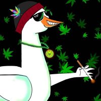 METAGOOSECLUB (@metagooseclub) 's Twitter Profile Photo