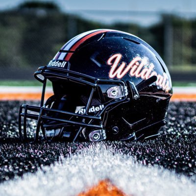 VeronaWildcatFB Profile Picture