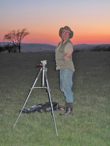 nichilli_LRPS's profile picture. 