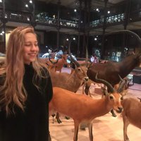 Pauline. (@thepioche) 's Twitter Profile