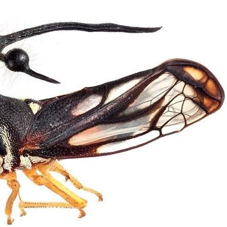 5uuon's profile picture. 