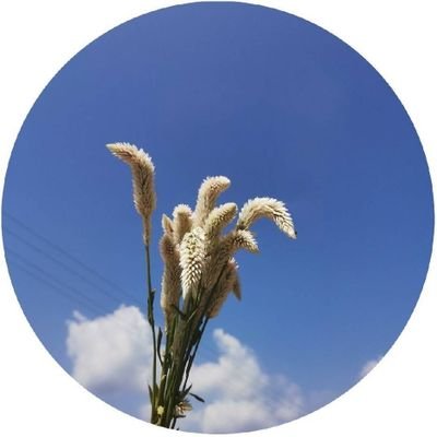 xiahongli1312's profile picture. 