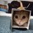 .wang  yee. (@iloveqredo) 's Twitter Profile